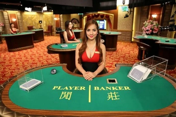 How to Choose the Most Suitable Live Casino Table