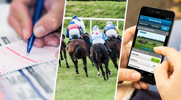 Horse Racing Betting: Detailed Guide to Horse Racing Bets