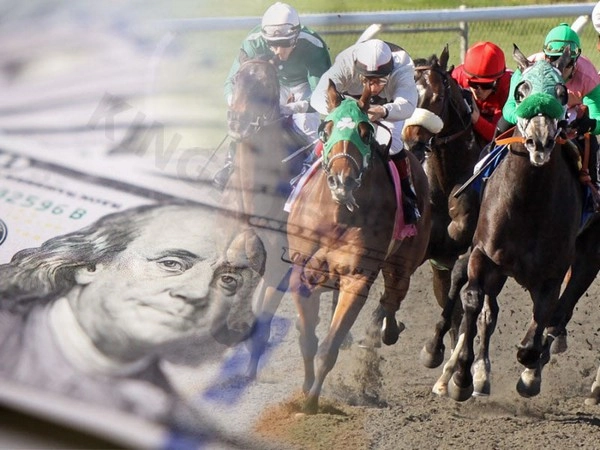 Horse Racing Betting: Detailed Guide to Horse Racing Bets