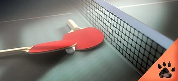 Ping Pong Moneyline Strategy You Never Heard Of
