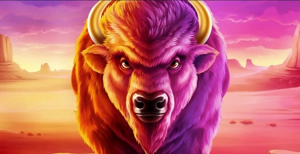 Buffalo Power៖ ចូលរួមជាមួយ Big Buffalo Badlands Football Promotion!