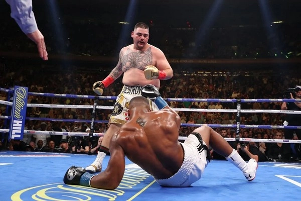 Boxing Betting Odds: How to Catch a Profitable Line Early